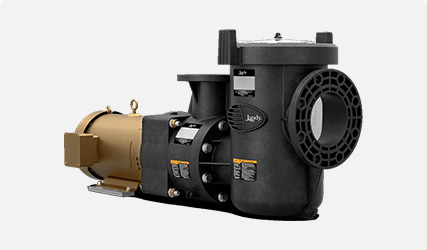 Black and Gold Pool Pump for Commercial Pools 